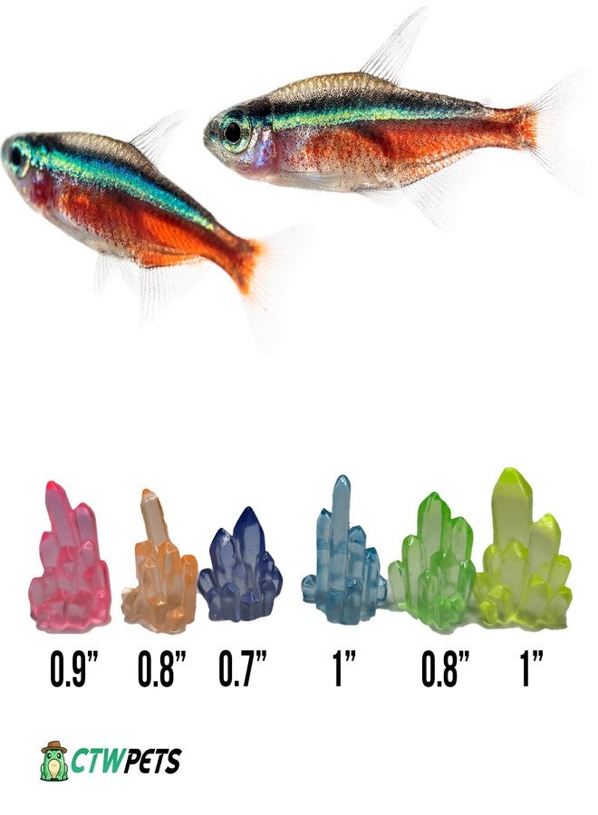 CTWPets Betta Stones Glow-in-The-Dark - Small Aquarium Decor, Luminous Betta Fish Tank Pebbles, Glow Rock Accents | 6 Pack - Image 2